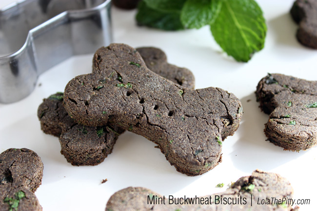 Healthy Treats to Bake for your Dog