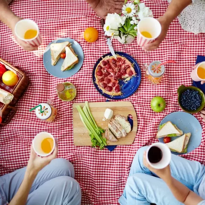 Group of humans with drinks gathered by dinner on picnic cloth